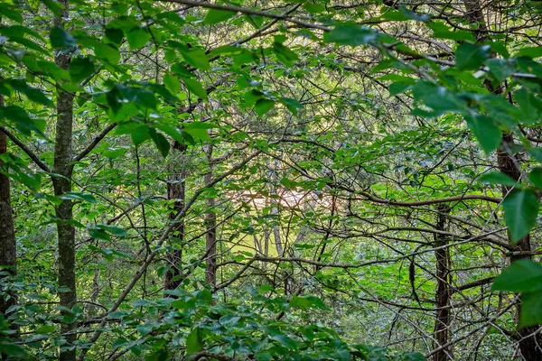 a view of a lake view