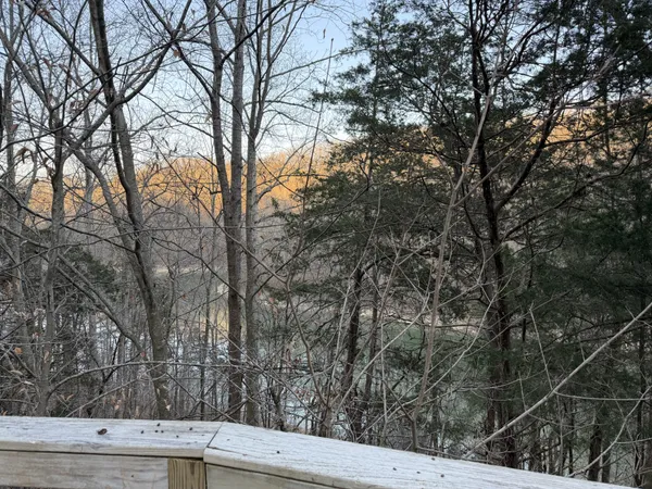 a view of trees covered with snow in front of house
