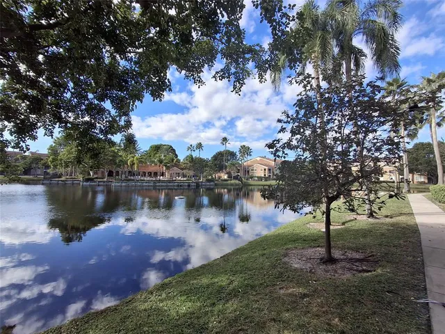 a body of water with a tree in the background
