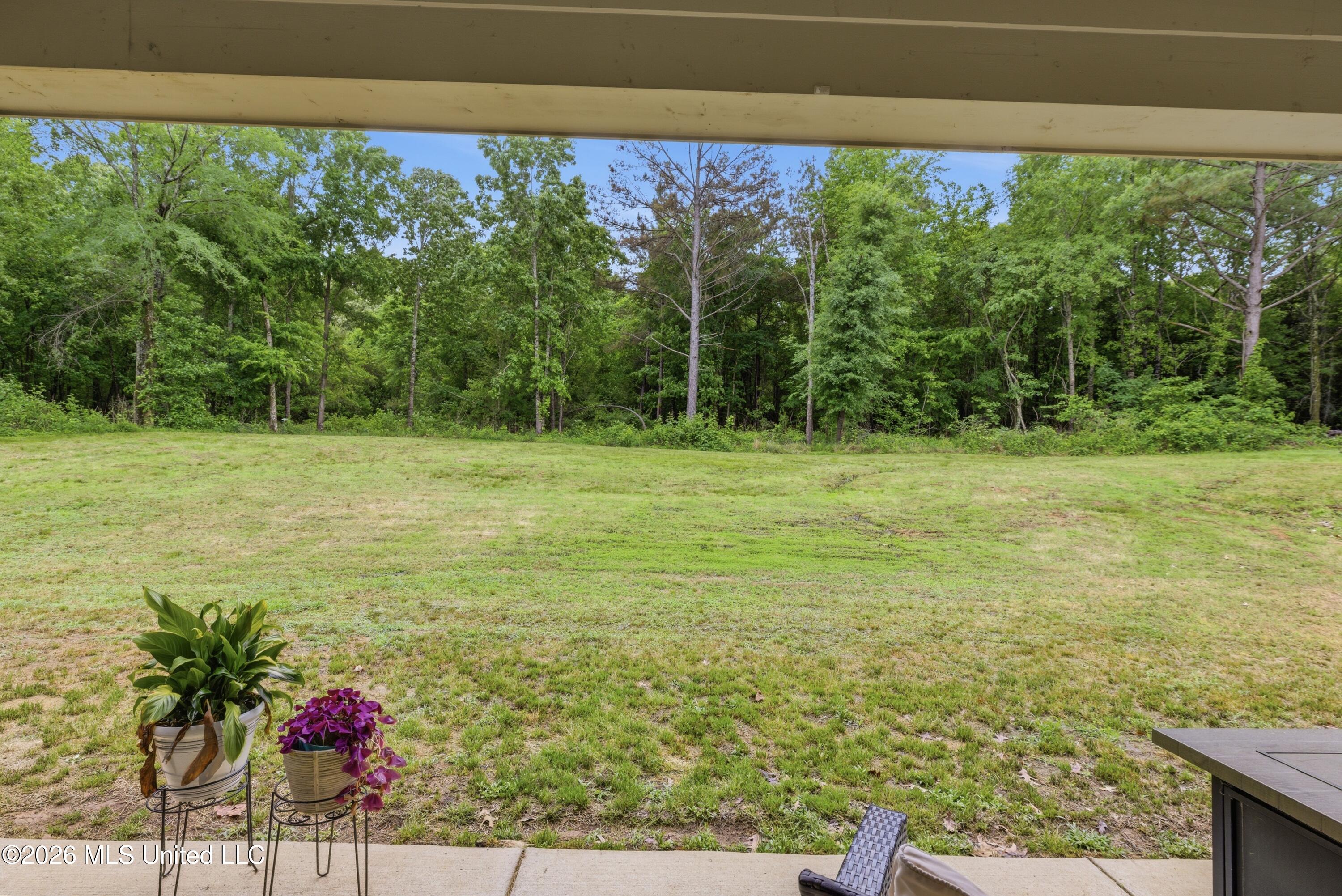 205 Clover Cove Coldwater, MS 38618 - Photo 22 of 29 934A1716