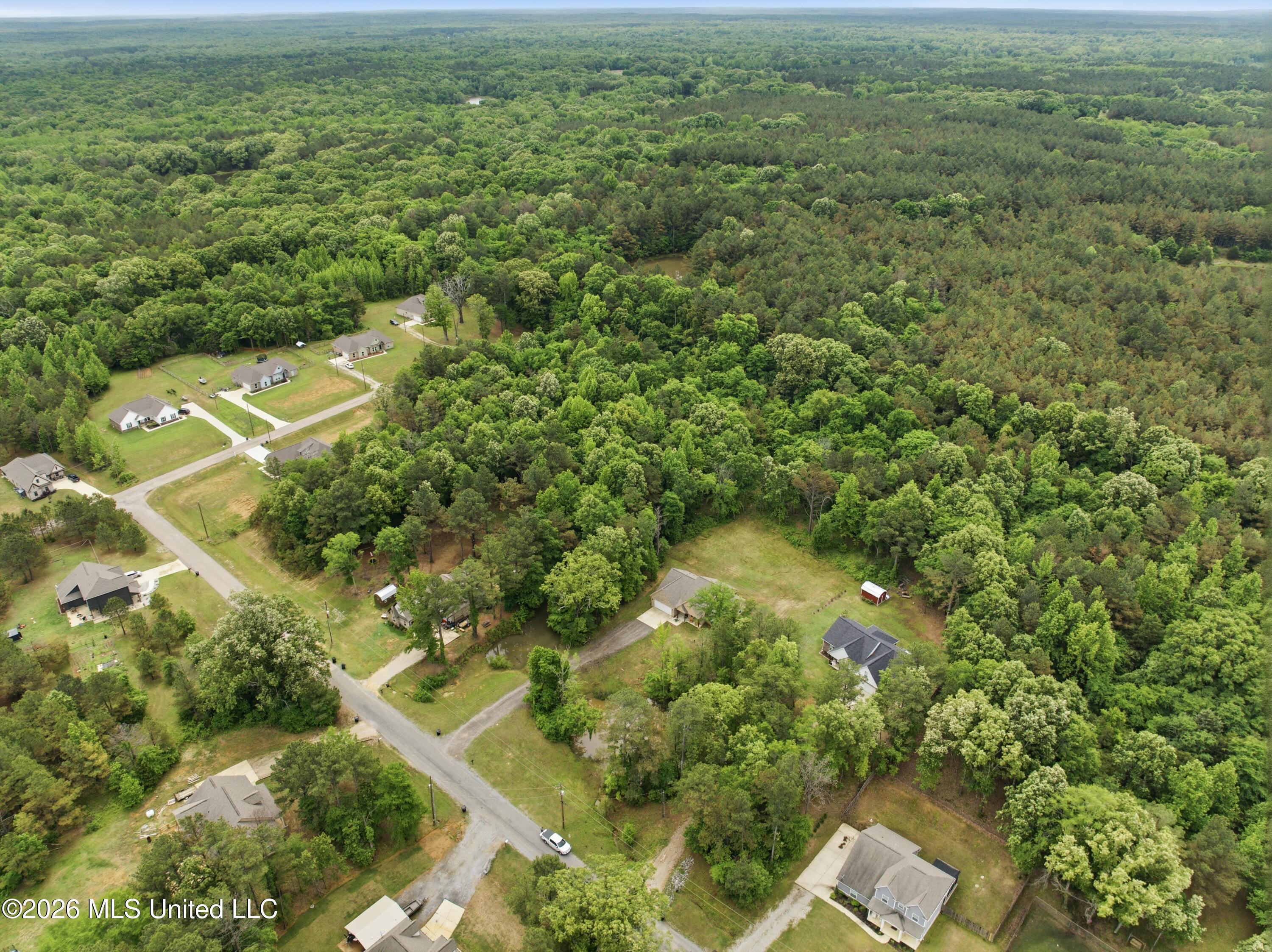 205 Clover Cove Coldwater, MS 38618 - Photo 25 of 29 DJI_0489