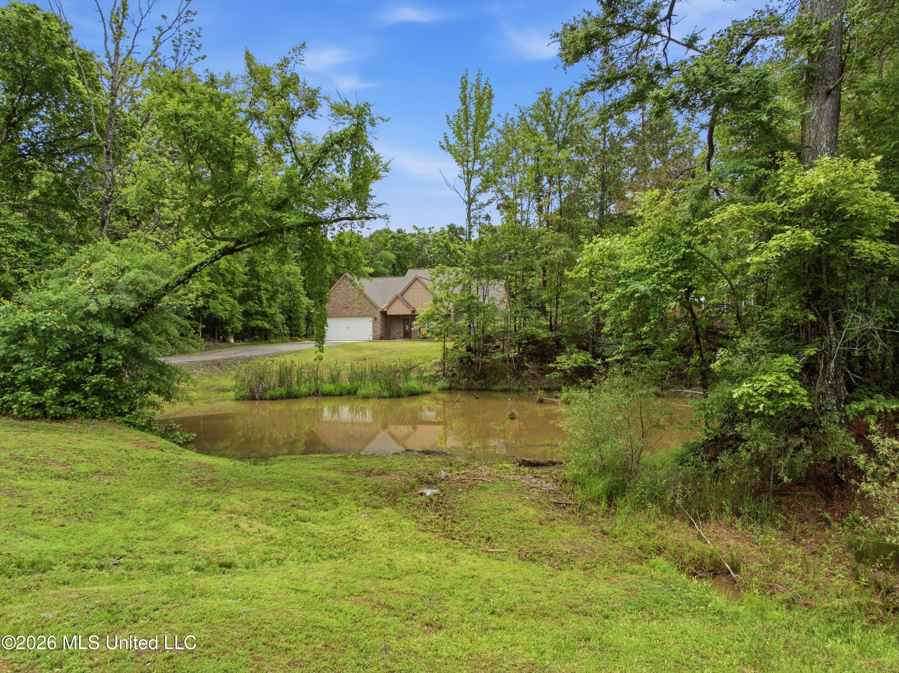 205 Clover Cove Coldwater, MS 38618 - Photo 27 of 29 DJI_0429