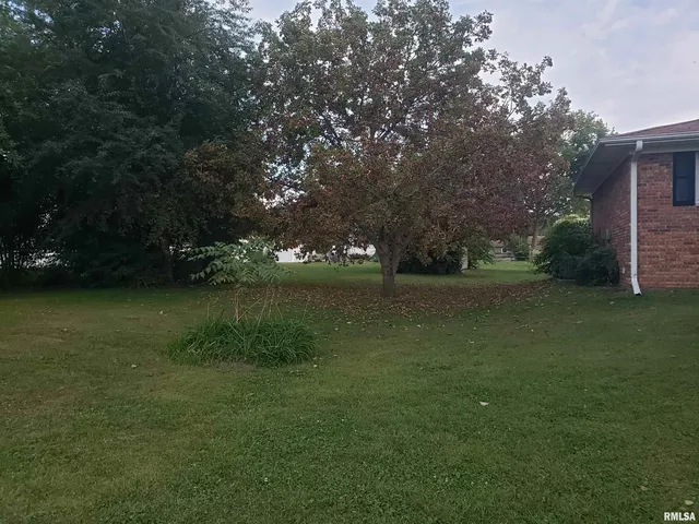 $175,000 | 226 4th Avenue West, Andalusia, IL 61232