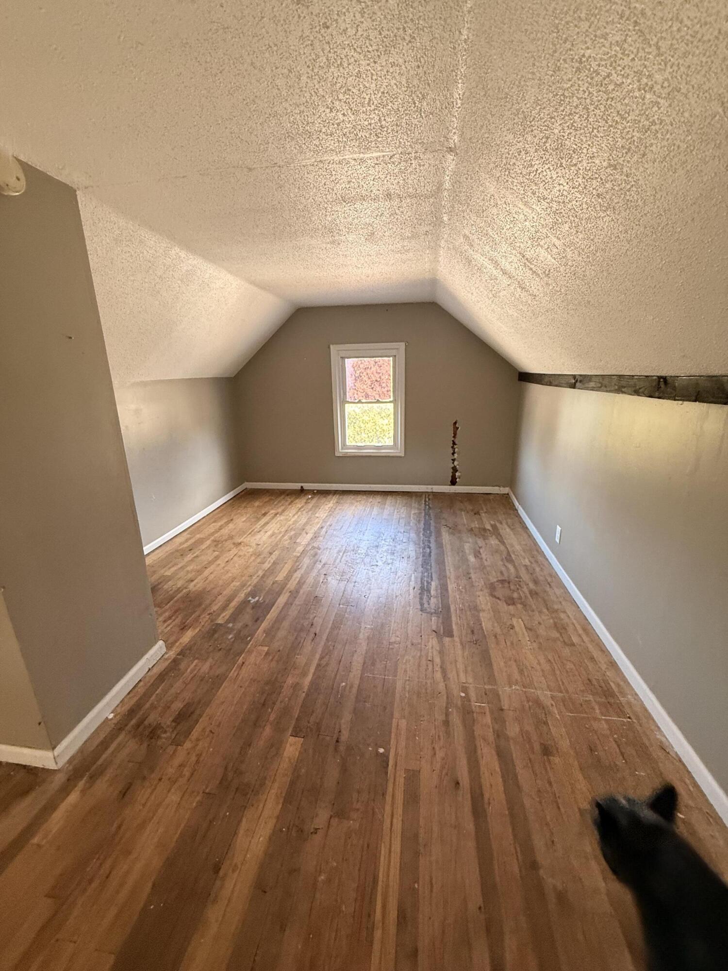 7 South Elm Street Hesperia, MI 49421 - Photo 15 of 25 IMG_3781