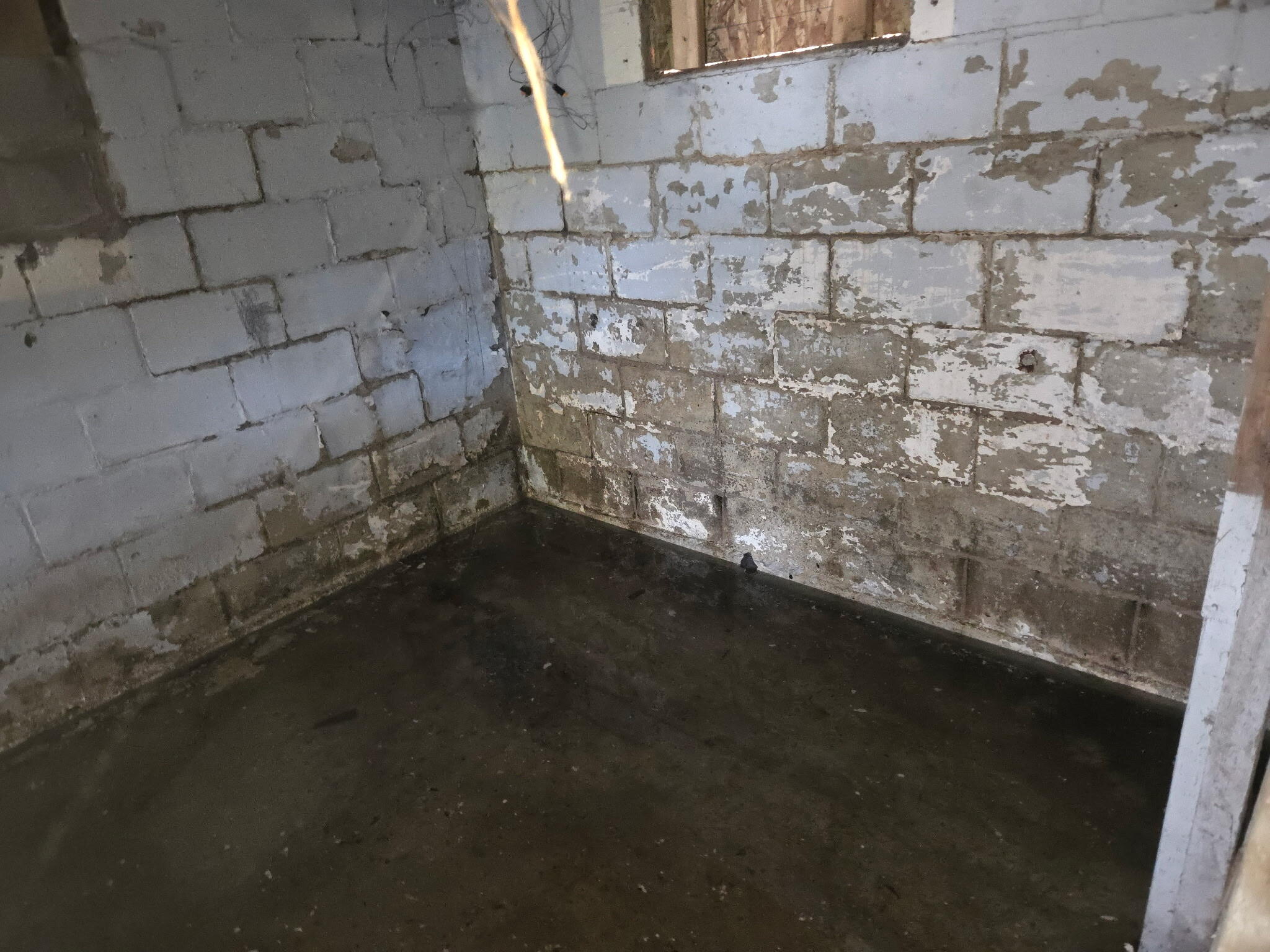 7 South Elm Street Hesperia, MI 49421 - Photo 23 of 25 1000015833