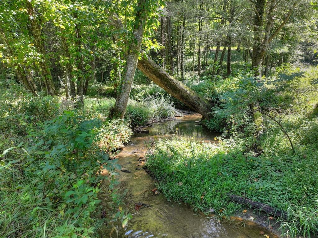 7233 Shakerag Road Ellijay, GA 30540 - Photo 64 of 71 Gallery Image 64