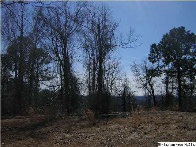 274 Shades Crest Road, Unit 12A Birmingham, AL 35226 - Photo 2 of 2