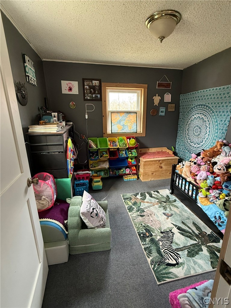 1953 Lamson Road Lysander, NY 13135 - Photo 16 of 23