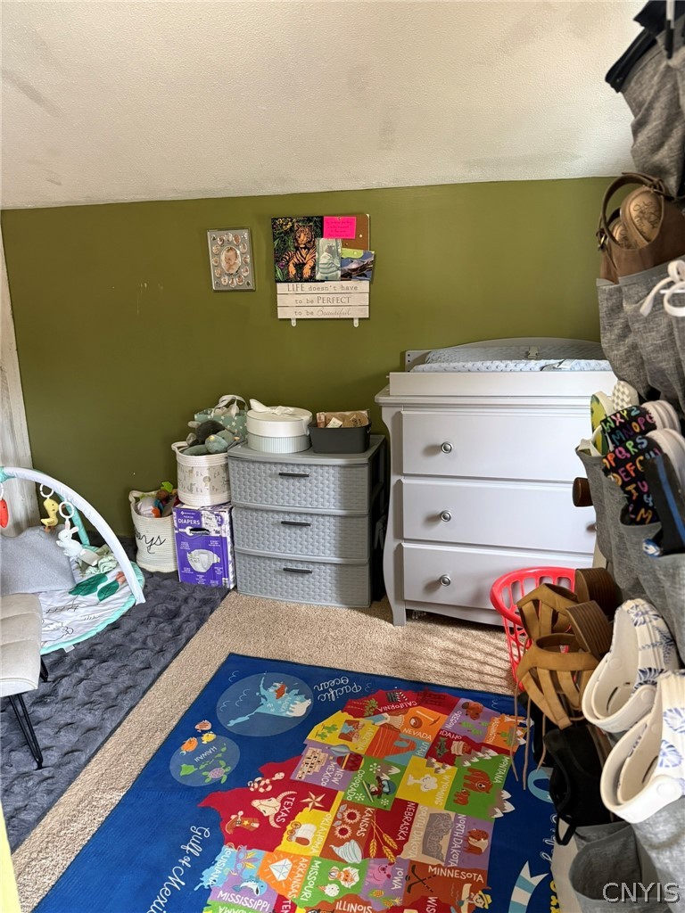 1953 Lamson Road Lysander, NY 13135 - Photo 17 of 23