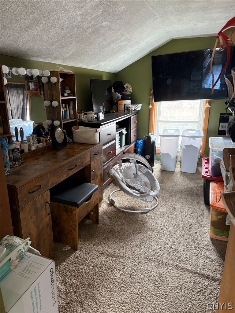 1953 Lamson Road Lysander, NY 13135 - Photo 19 of 23