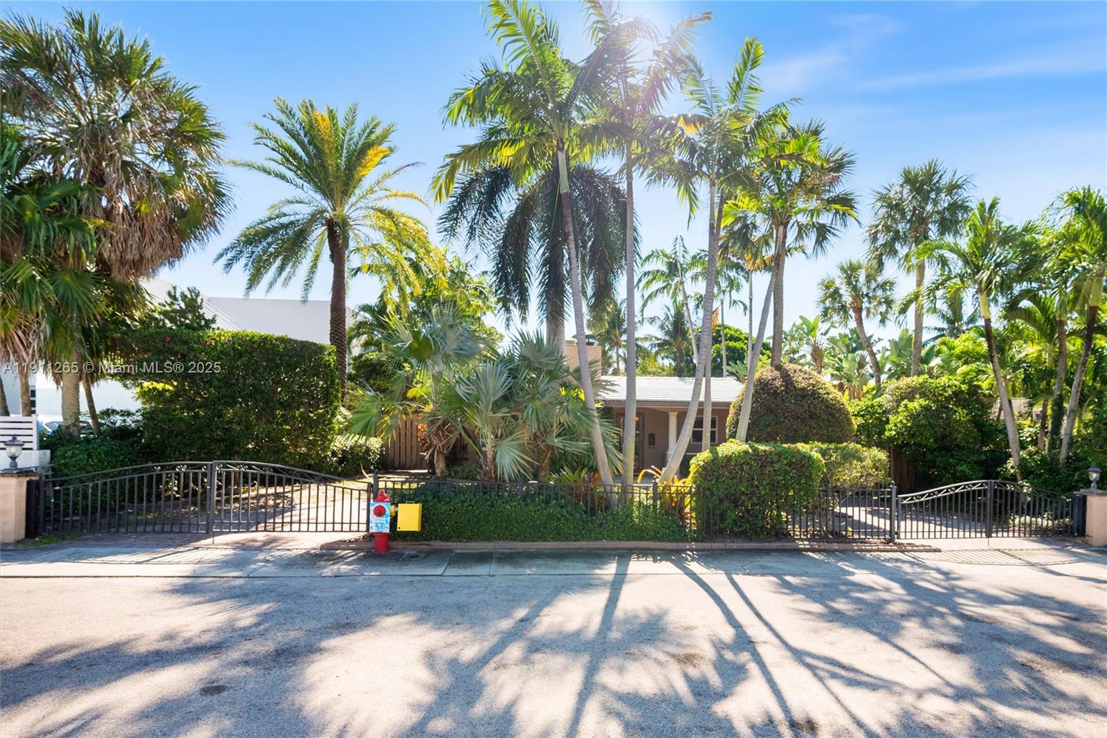 3308 Northeast 16th Place Fort Lauderdale, FL 33305 - Photo 25 of 31 a street view with palm trees