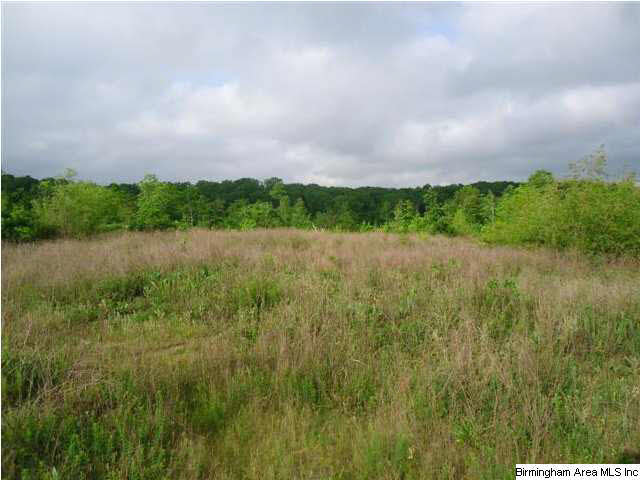 Mayo Road, Unit 96 Altoona, AL 35952 - Photo 21 of 23