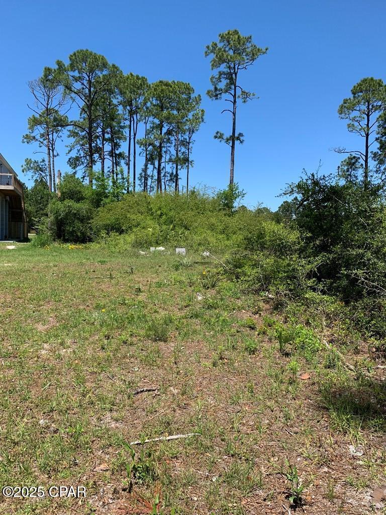 519 Shellys Loop Road Carrabelle, FL 32322 - Photo 11 of 33