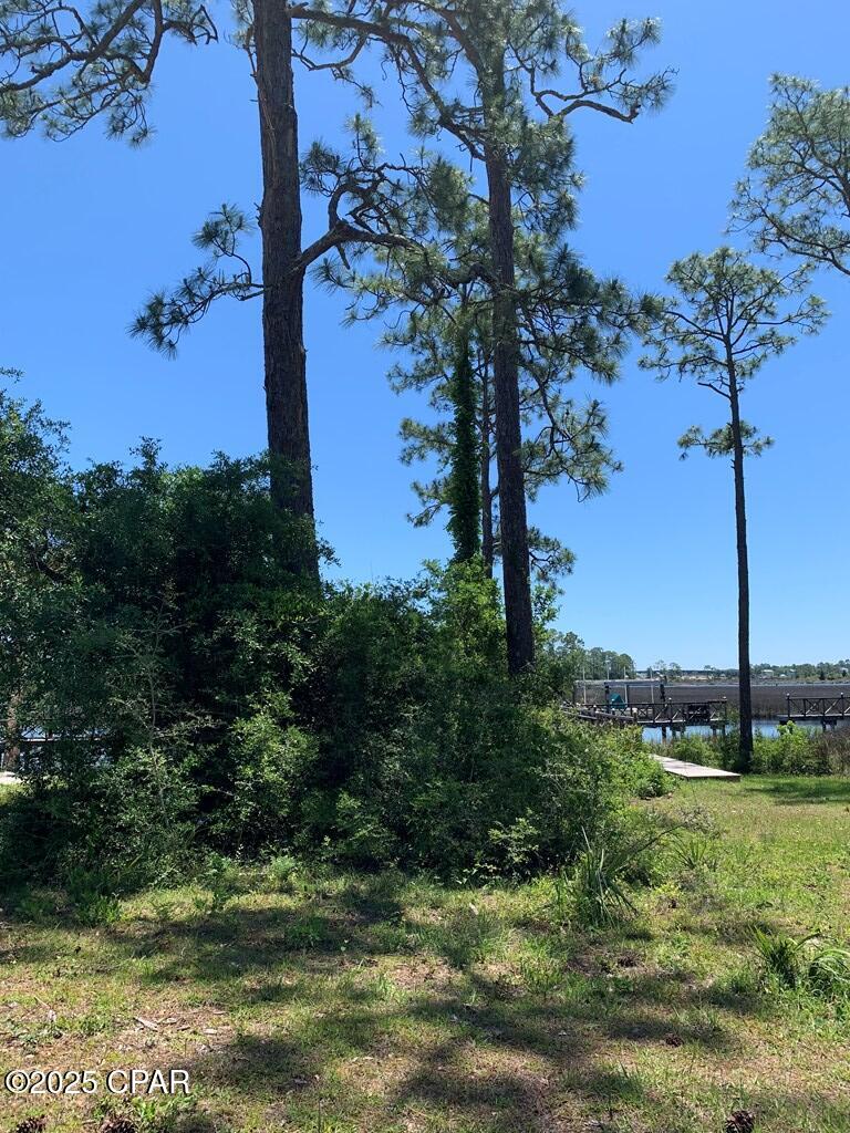 519 Shellys Loop Road Carrabelle, FL 32322 - Photo 13 of 33