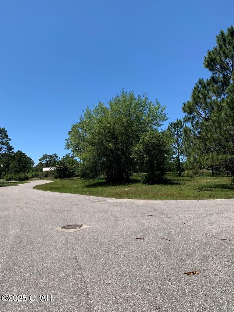 519 Shellys Loop Road Carrabelle, FL 32322 - Photo 20 of 33
