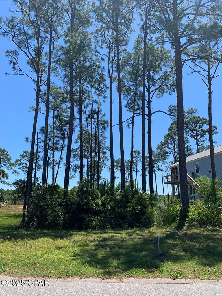 519 Shellys Loop Road Carrabelle, FL 32322 - Photo 26 of 33