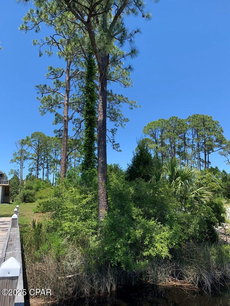 519 Shellys Loop Road Carrabelle, FL 32322 - Photo 28 of 33