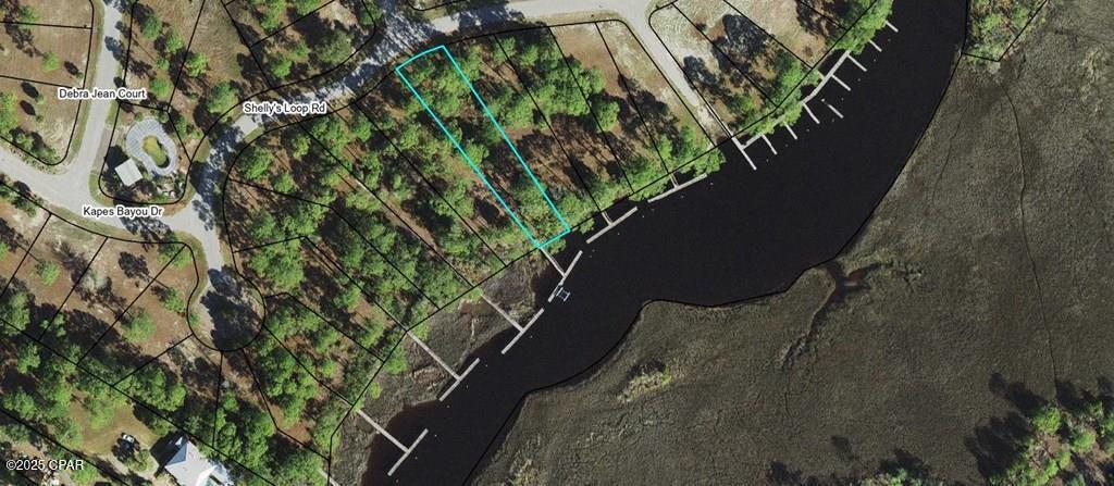 519 Shellys Loop Road Carrabelle, FL 32322 - Photo 3 of 33