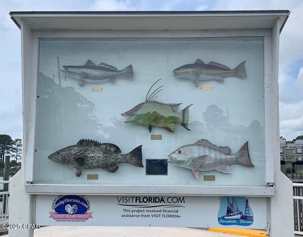 519 Shellys Loop Road Carrabelle, FL 32322 - Photo 33 of 33