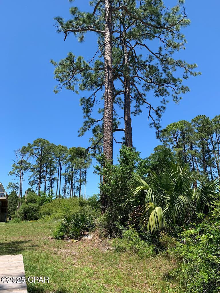 519 Shellys Loop Road Carrabelle, FL 32322 - Photo 4 of 33