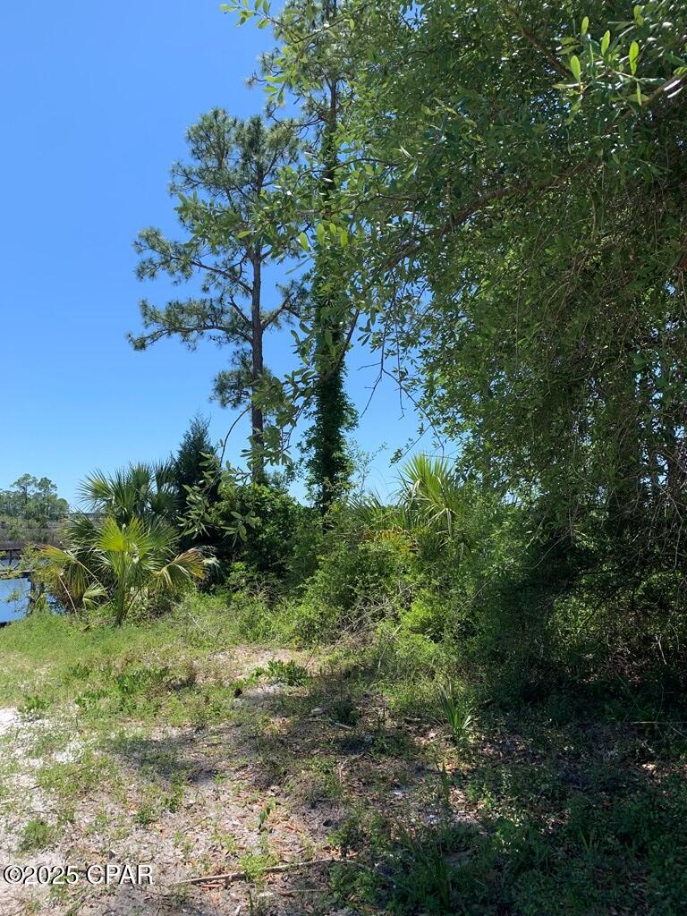 519 Shellys Loop Road Carrabelle, FL 32322 - Photo 10 of 33