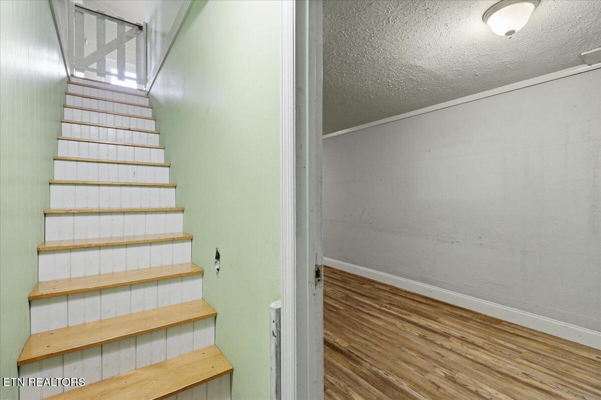 168 Corntassel Estates Road Vonore, TN 37885 - Photo 39 of 44 39-031_7K9A4477