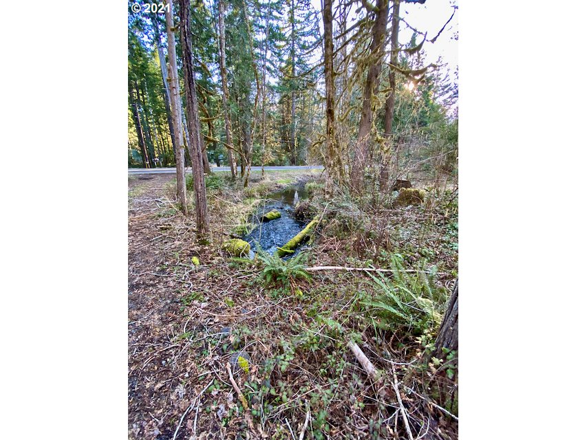 North Bank Road, Unit 808 Blue River, OR 97413 - Photo 12 of 12 Gallery Image 12