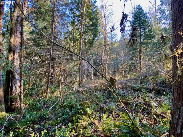 North Bank Road, Unit 808 Blue River, OR 97413 - Photo 8 of 12 Gallery Image 8