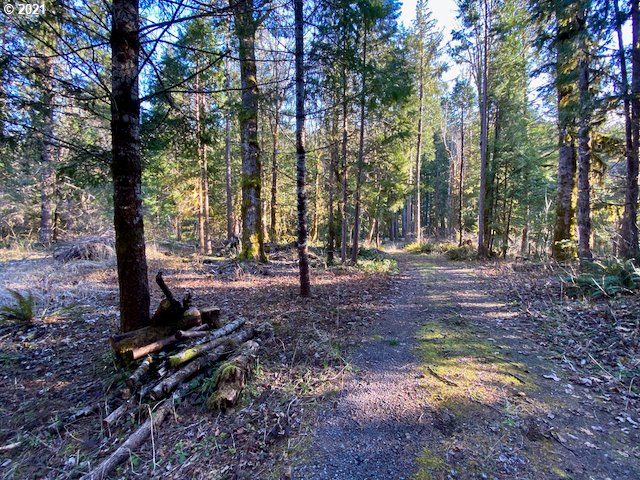 North Bank Road, Unit 808 Blue River, OR 97413 - Photo 9 of 12 Gallery Image 9