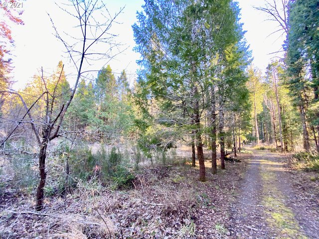 North Bank Road, Unit 808 Blue River, OR 97413 - Photo 10 of 12 Gallery Image 10
