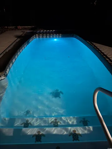 $1,595,000 | 3637 Choppee Road, Georgetown, SC 29440