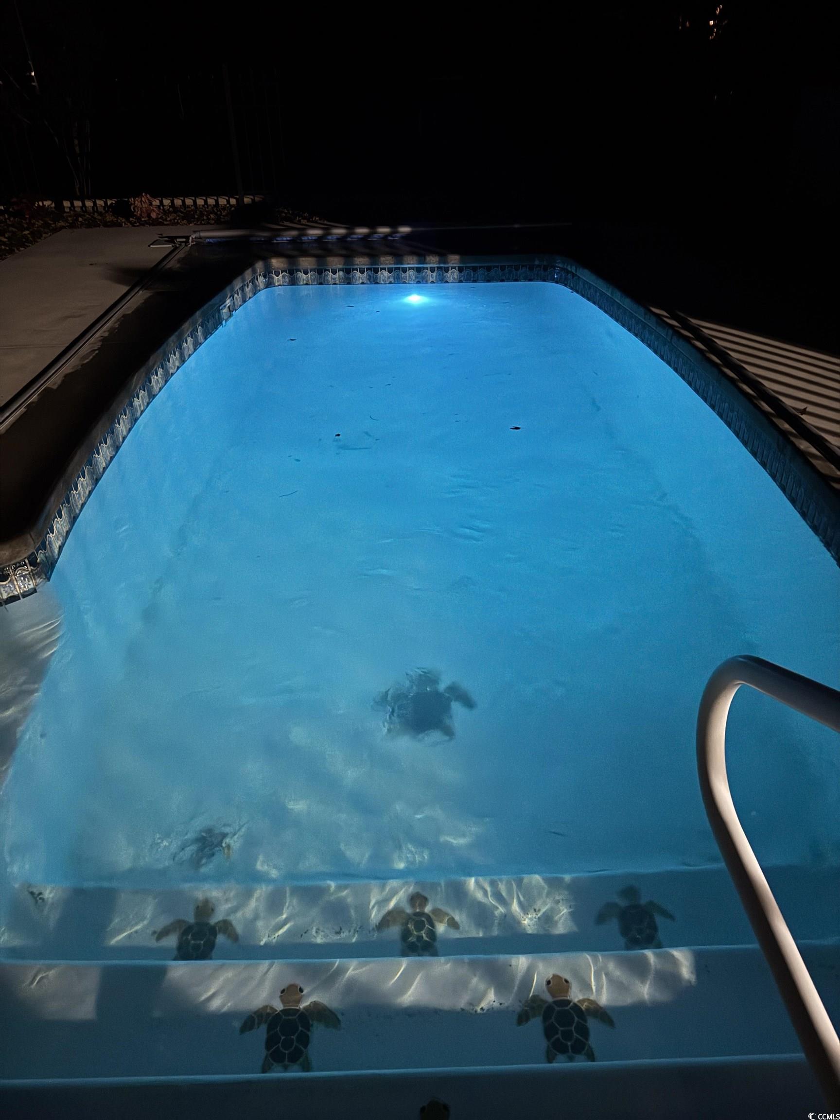 3637 Choppee Road Georgetown, SC 29440 - Photo 36 of 40 View of swimming pool