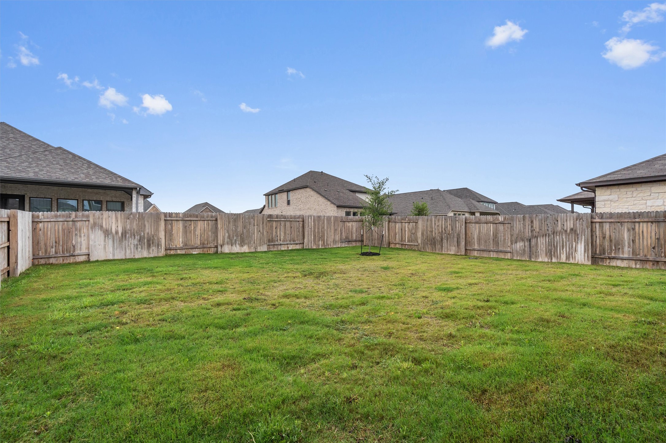 224 Backstays Loop Kyle, TX 78640 - Photo 18 of 19 Expansive backyard featuring a natural grass lawn, full wood privacy fencing, and a newly planted tree