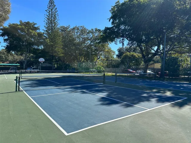 a view of backyard and tree