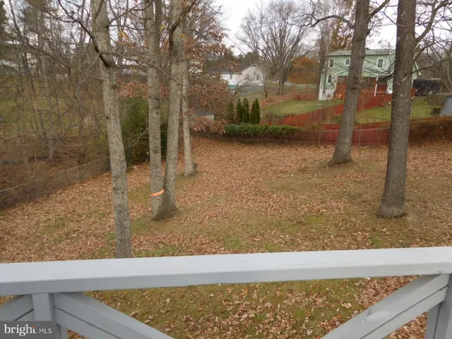 a view of a yard with trees