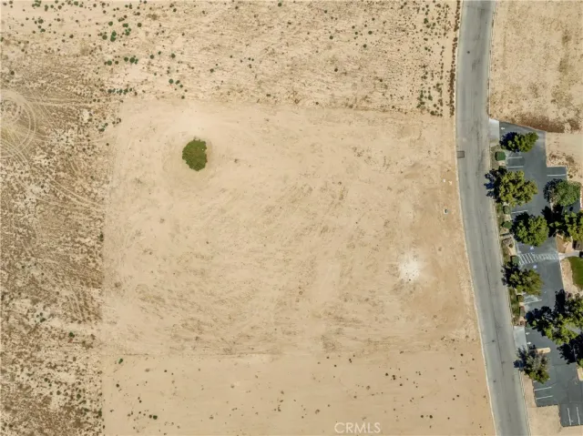 a view of a dry yard