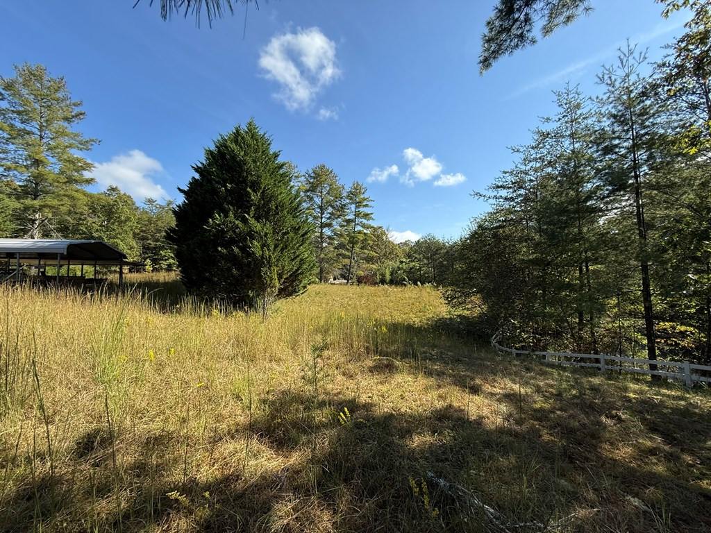 28 Joyce Road Murphy, NC 28906 - Photo 42 of 55