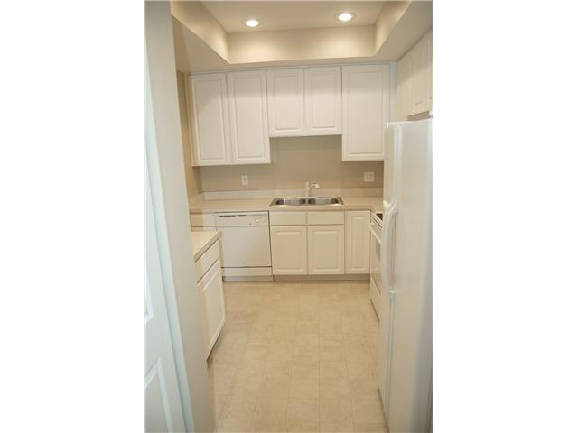 5248 Apple Ridge Place Westerville, OH 43081 - Photo 6 of 13