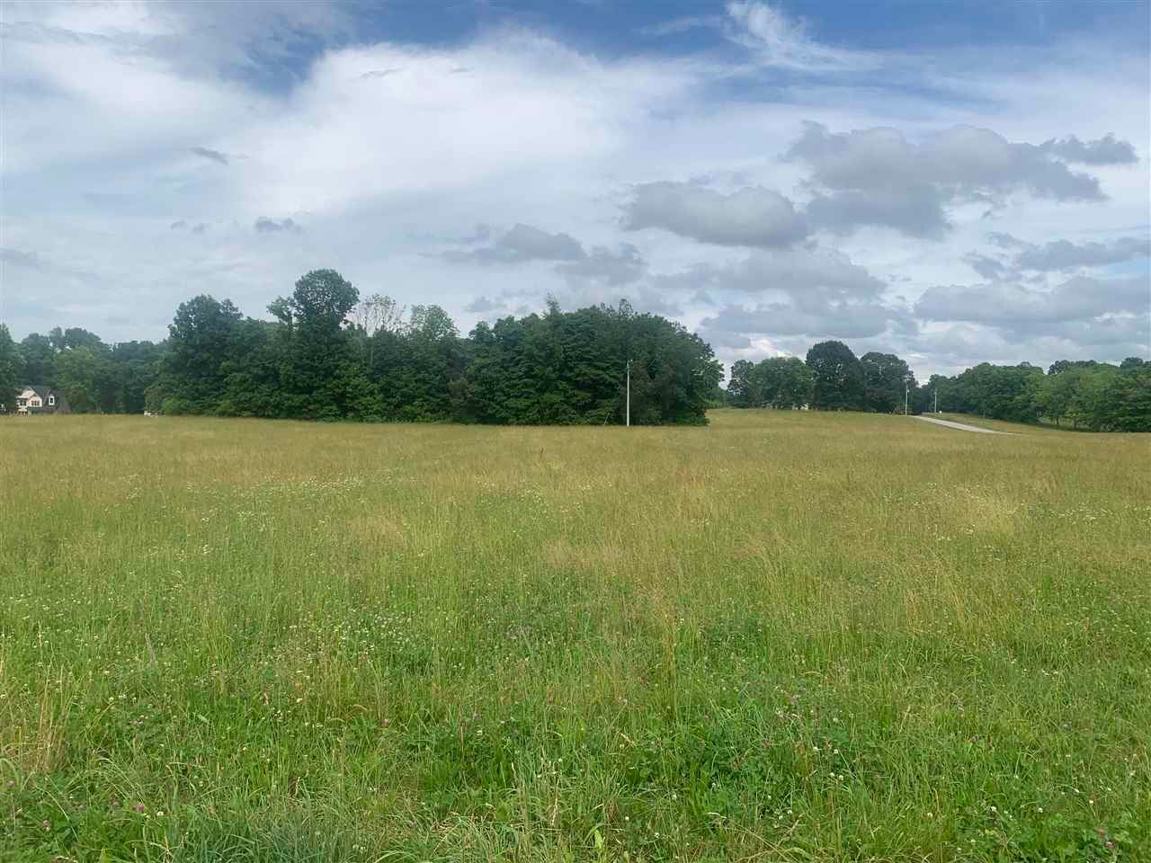 0 Wilson Road Franklin, KY 42134 - Photo 1 of 1 Gallery Image 1