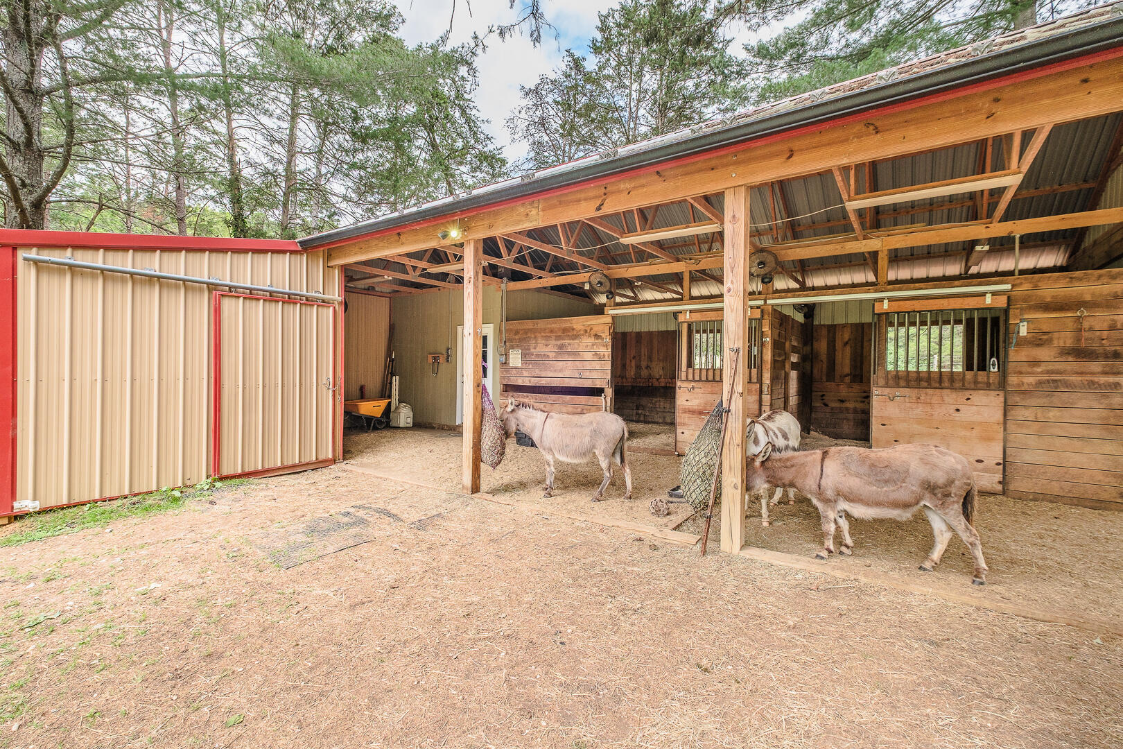 815 Brunswick Forge Road Troutville, VA 24175 - Photo 52 of 70 815 Brunswick Forge Rd-50