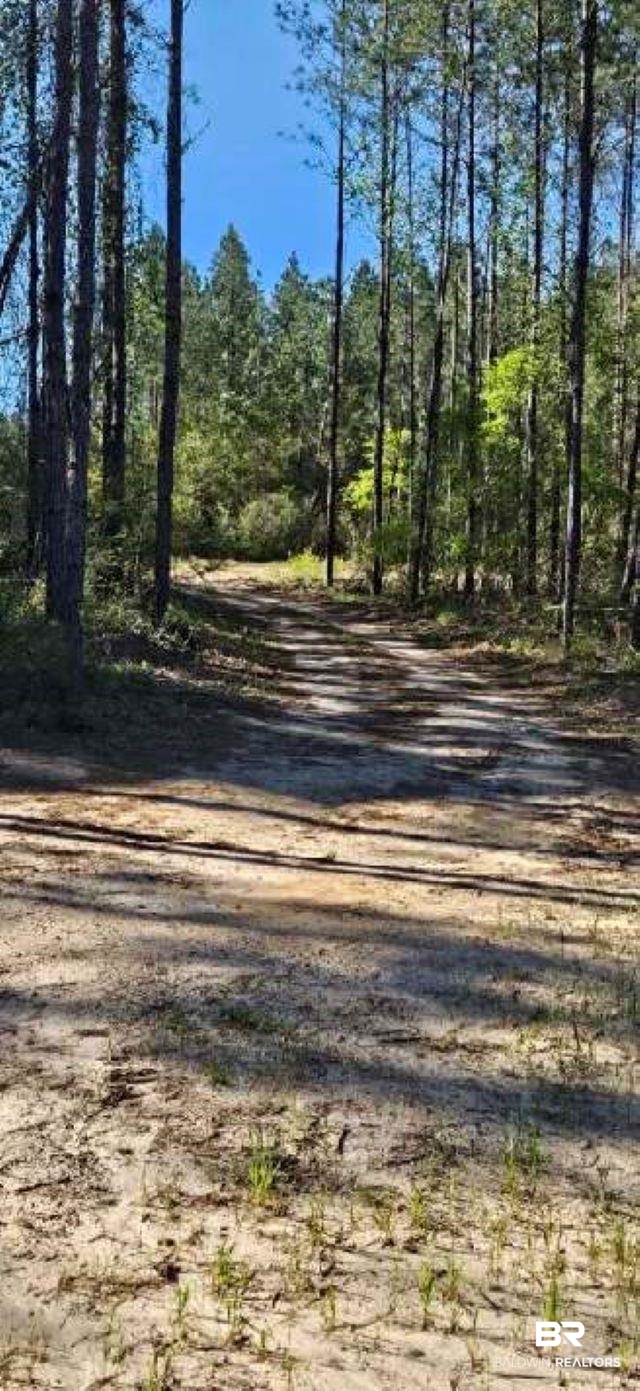 27861 New Hope Church Road Robertsdale, AL 36567 - Photo 25 of 29 View of road