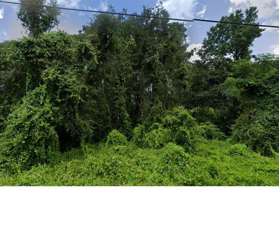 a view of an outdoor space and a yard
