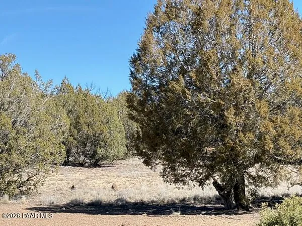 $27,500 | 3963 Gerry Lane, Williams, AZ 86046