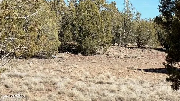 $27,500 | 3963 Gerry Lane, Williams, AZ 86046