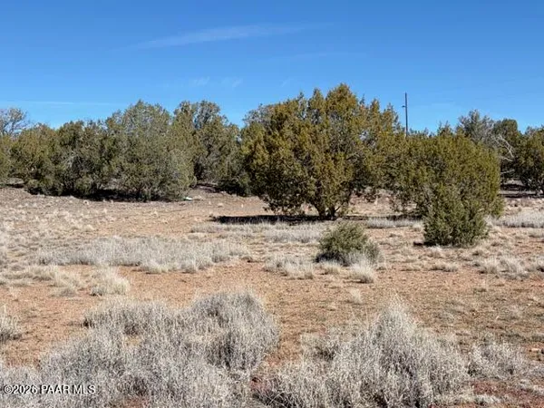 $27,500 | 3963 Gerry Lane, Williams, AZ 86046
