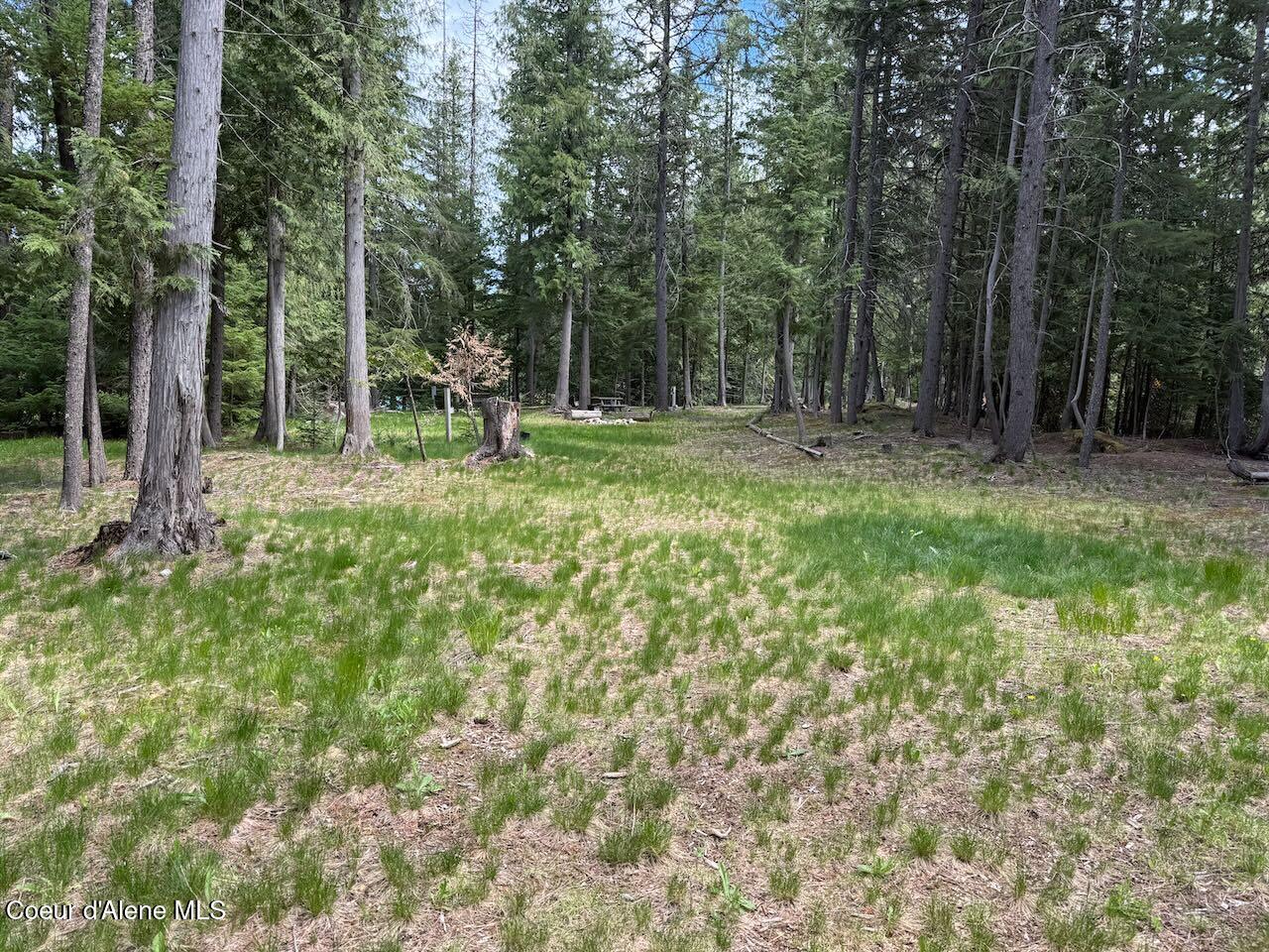 8213 Rapid Lightning Road Sandpoint, ID 83864 - Photo 15 of 40 Meadow