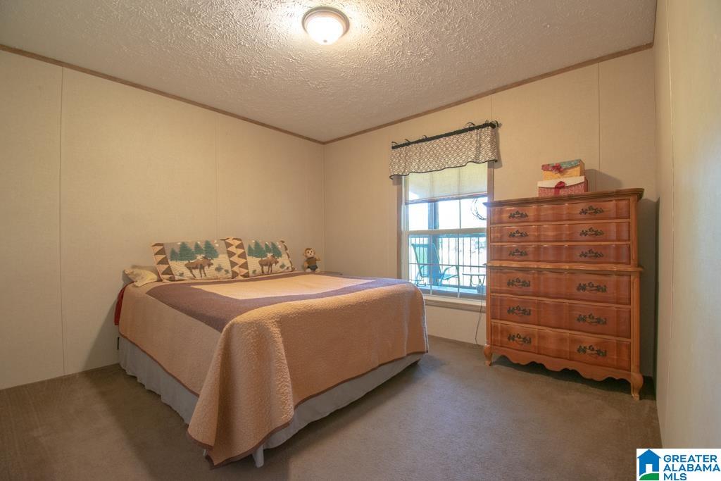 321 Deaver Walker Road Trafford, AL 35172 - Photo 17 of 29