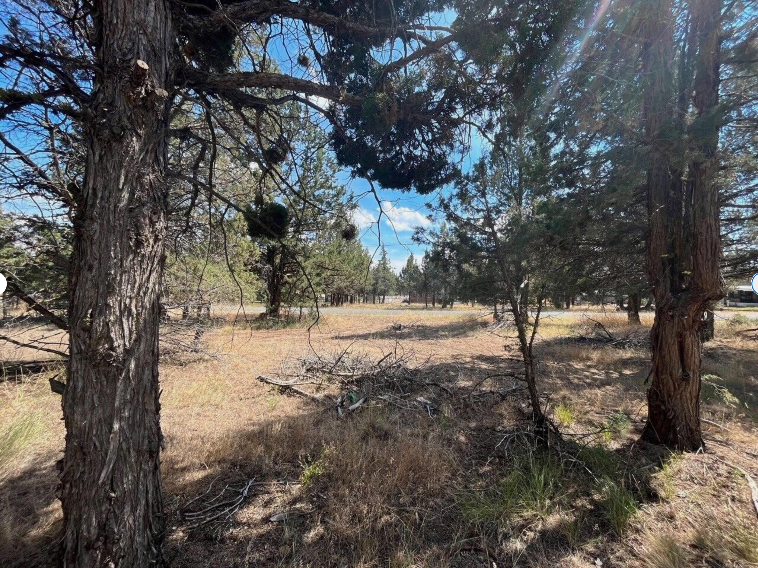 0 Goose Loop Alturas, CA 96101 - Photo 12 of 16 a view of yard with trees