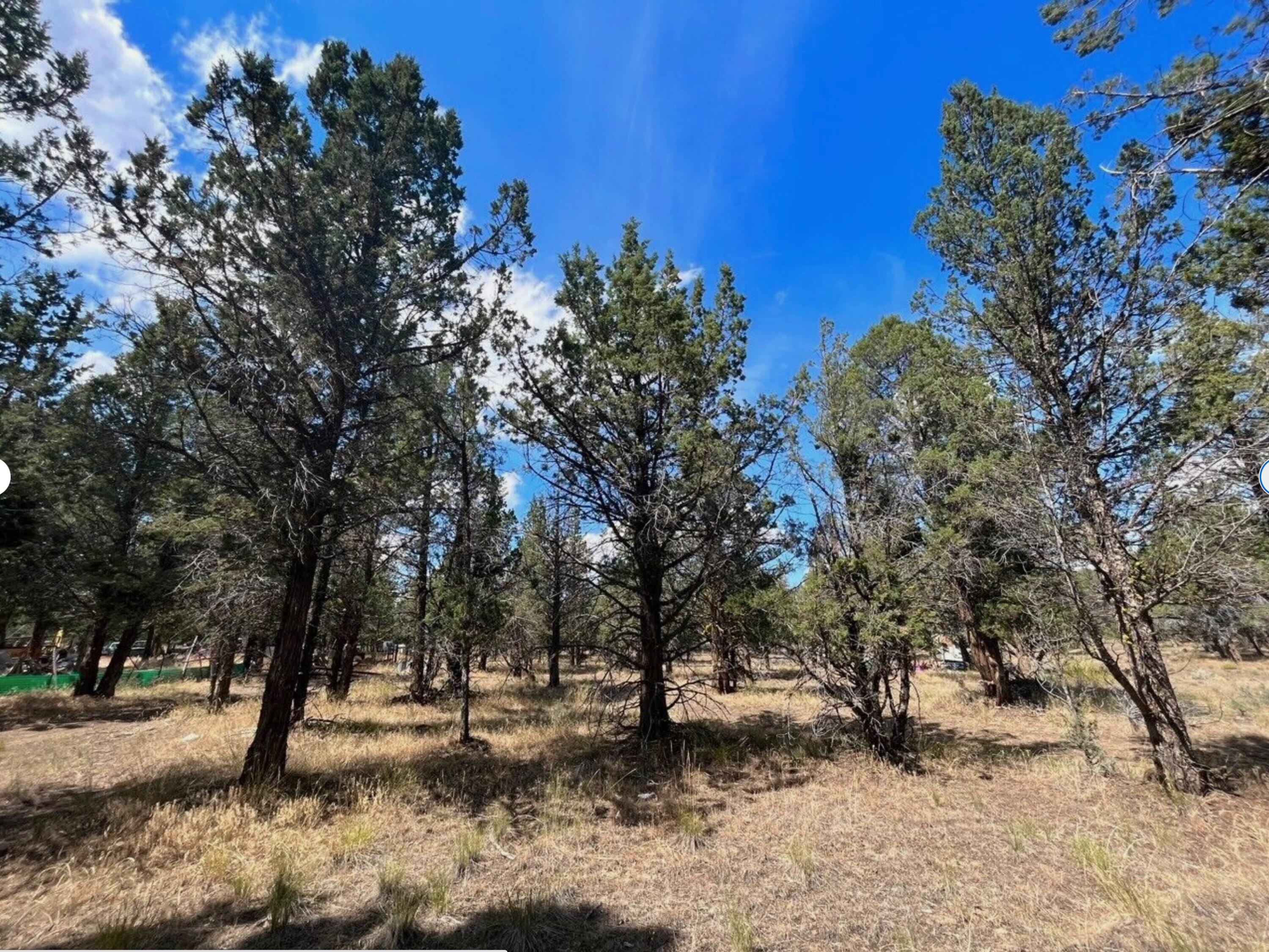 0 Goose Loop Alturas, CA 96101 - Photo 13 of 16 a view of covered with snow