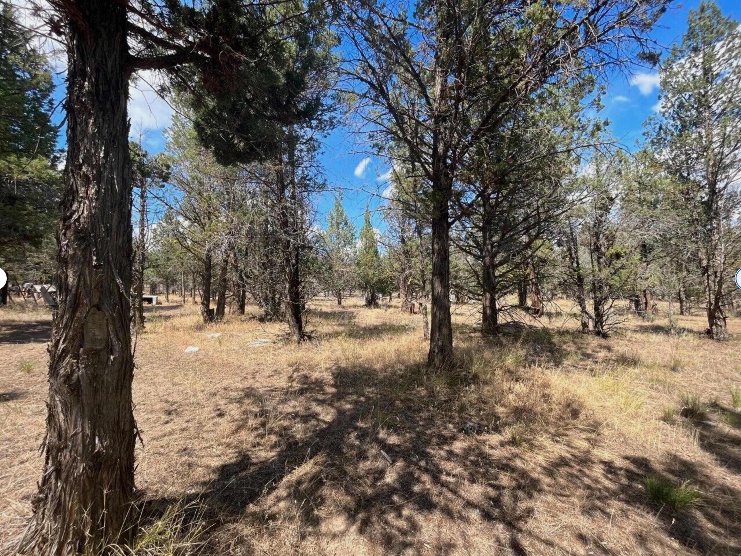 0 Goose Loop Alturas, CA 96101 - Photo 14 of 16 a view of snow on a road
